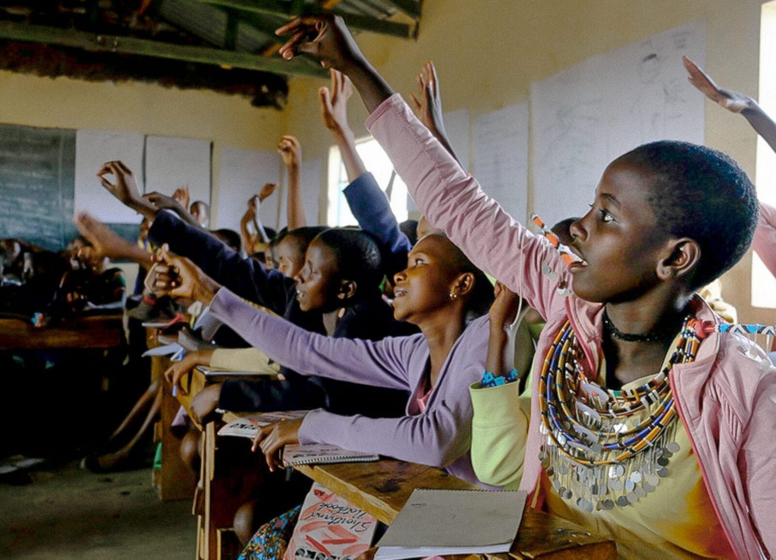 Scopri le attività per le scuole